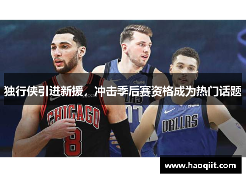 独行侠引进新援，冲击季后赛资格成为热门话题
