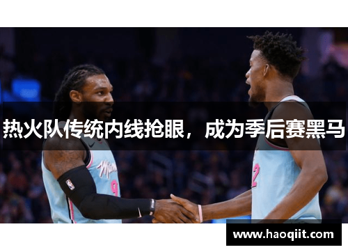 热火队传统内线抢眼，成为季后赛黑马