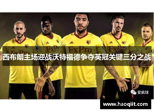 西布朗主场迎战沃特福德争夺英冠关键三分之战
